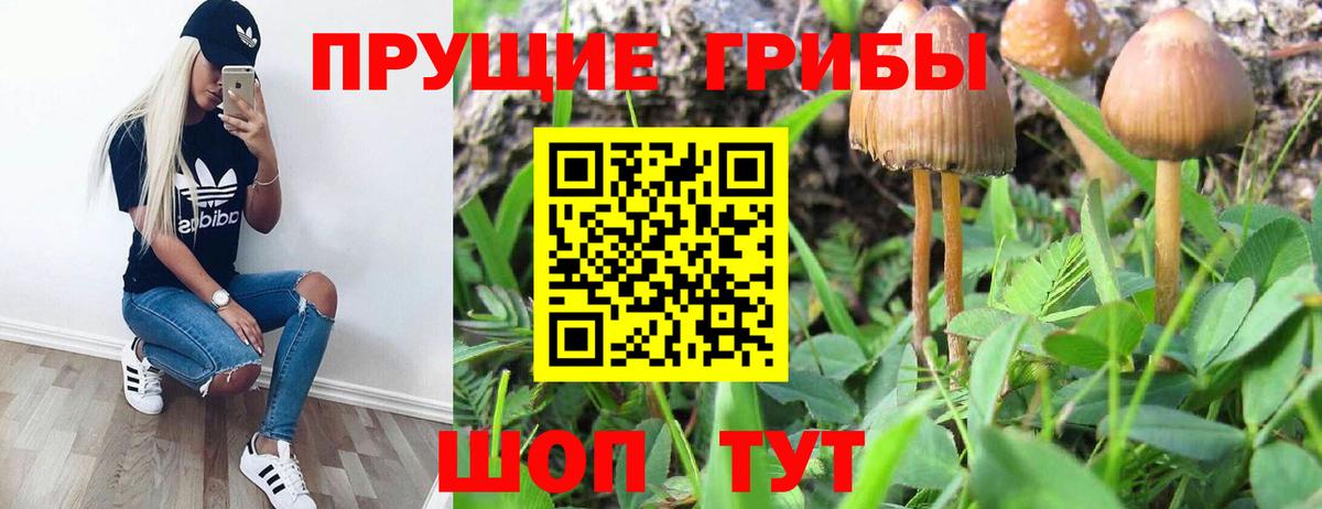 Псилоцибиновые грибы Magic Shrooms  Вход с VPN  Ставрополь 