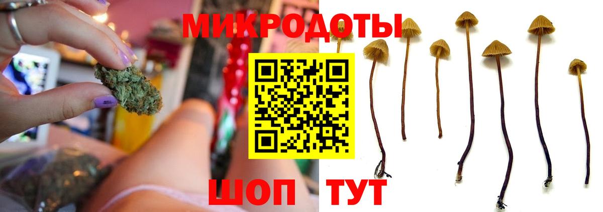 ТГК Ставрополь